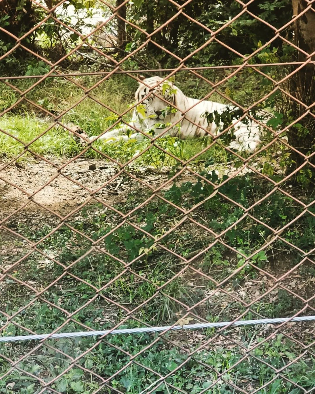 代表この土日に家族旅行へ🚙