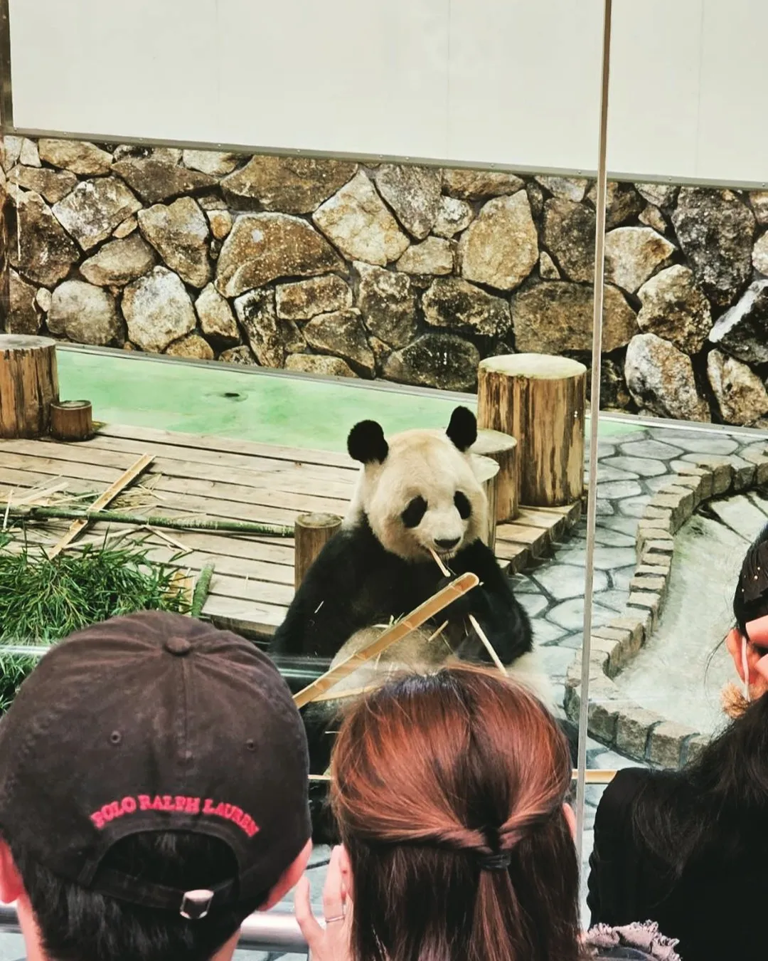 代表この土日に家族旅行へ🚙